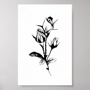 Ink Sketch of Roses Poster