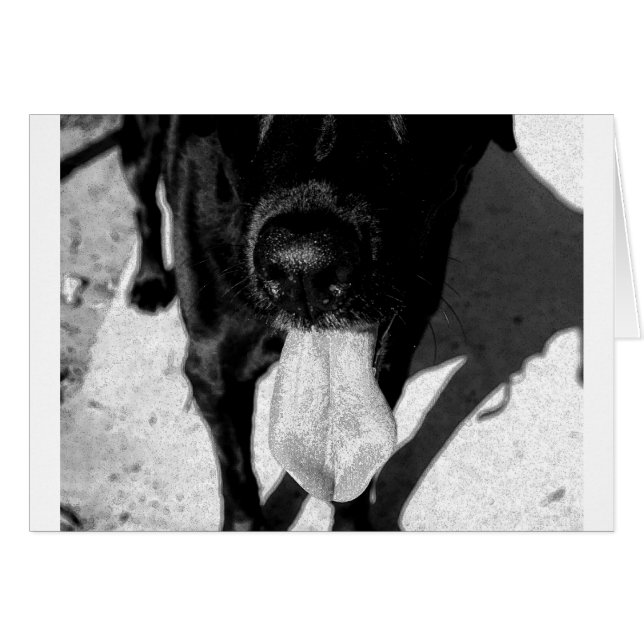 Inky Lulu (Front Horizontal)