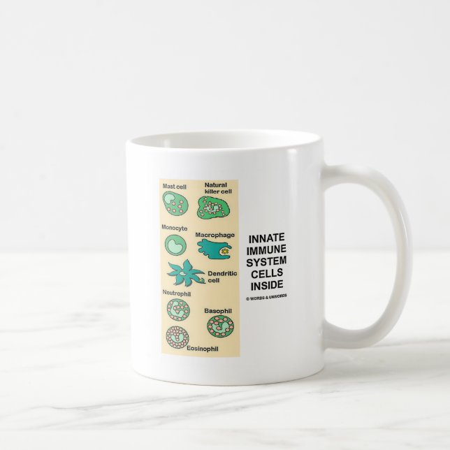 Innate Immune System Cells Inside Coffee Mug (Right)