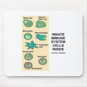 Innate Immune System Cells Inside Mouse Mat
