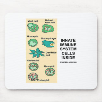 Innate Immune System Cells Inside Mouse Mat