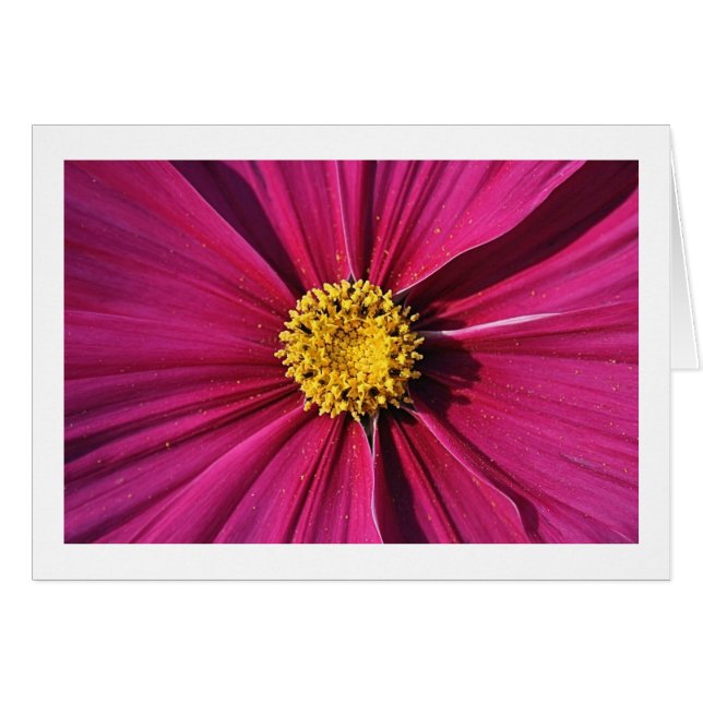 Inner Cosmos (Front Horizontal)