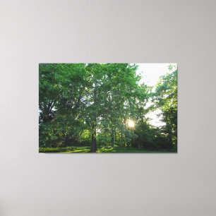 Inniswood Gardens Metropark, Westerville, Ohio Canvas Print
