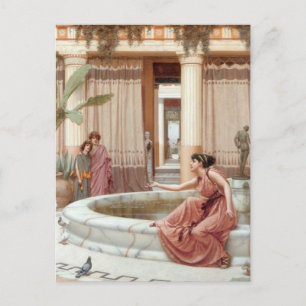 Innocent Amusements Postcard