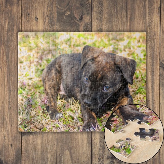 Innocent Brindle Puppy Jigsaw Puzzle (Innocent Brindle Puppy Jigsaw Puzzle)