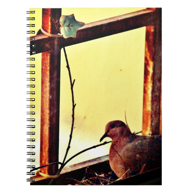 Innocent Dove Notebook (Front)