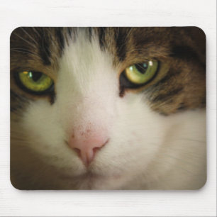 Innocent Looking Mouse Mat