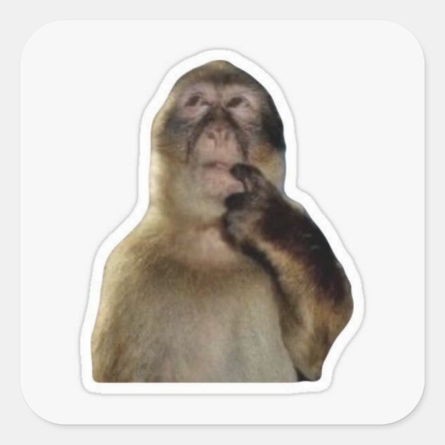 Innocent Monkey Meme Sticker (Front)