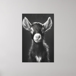 Innocent Monochromatic Minimalist Baby Goat  Canvas Print