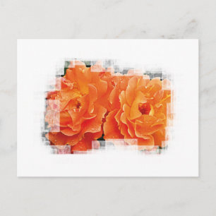 Innocent Orange Postcard