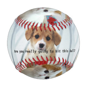 Innocent Puppy and Kitten Baseball