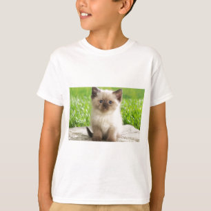 Innocent Ragdoll Kitten T-Shirt