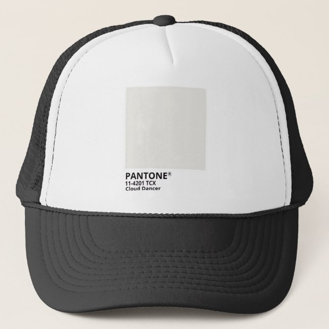 Inpiration pantone 2026 trucker hat (Front)