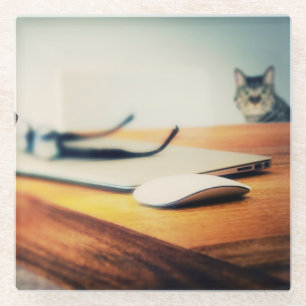 Inquisitive Cat - Glass Coaster