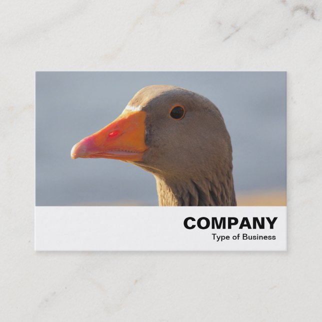 Inquisitive Goose Business Card (Front)