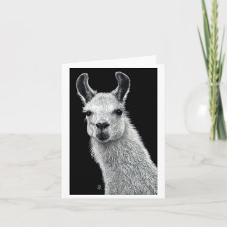 Inquisitive Llama Card