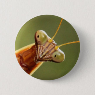 Inquisitive Mantis 6 Cm Round Badge