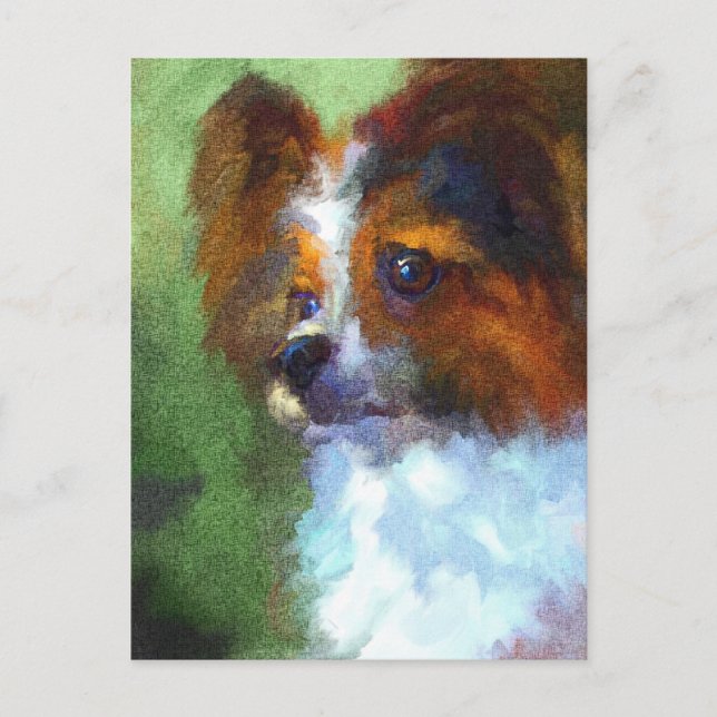 Inquisitive Papillon Postcard (Front)