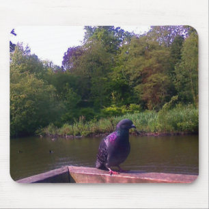 Inquisitive Pigeon Mouse Mat