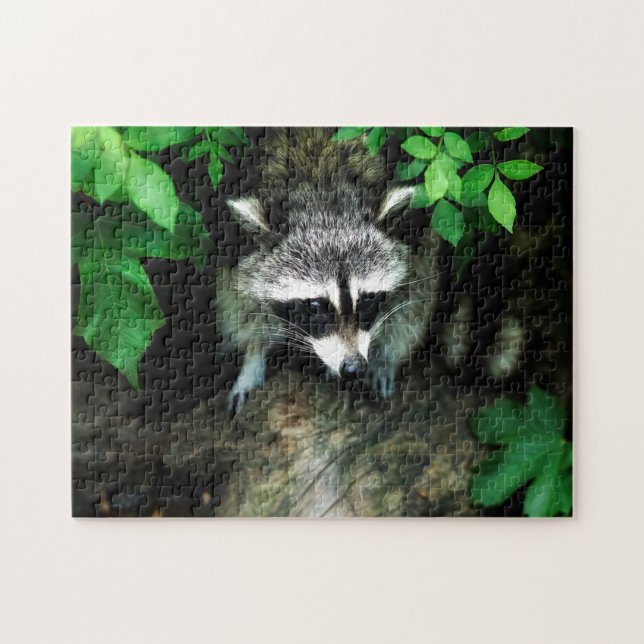 Inquisitive Racoon in Bush Jigsaw Puzzle (Horizontal)