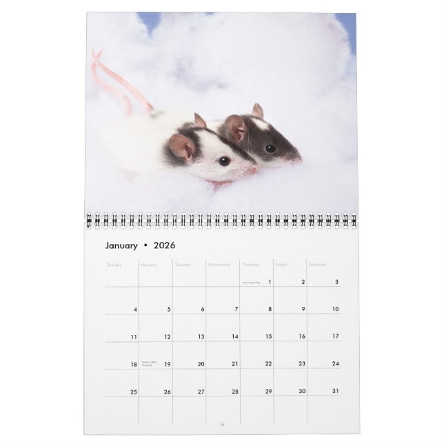 Inquisitive Ratty Calendar 2011 (Jan 2026)