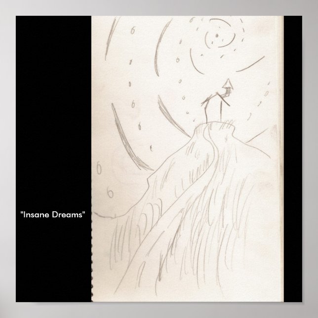 "Insane Dreams" Poster (Front)