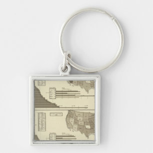 Insane, Idiotic, Blind statistical map Key Ring