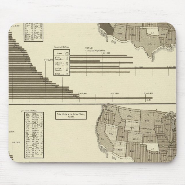 Insane, Idiotic, Blind statistical map Mouse Mat (Front)