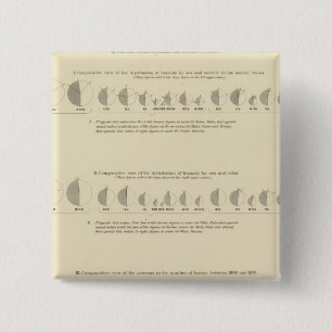 Insane, Statistical US Lithograph 1870 15 Cm Square Badge