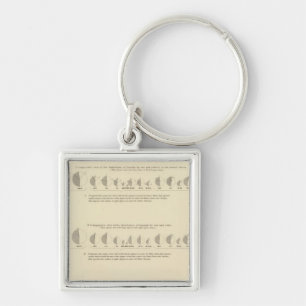 Insane, Statistical US Lithograph 1870 Key Ring