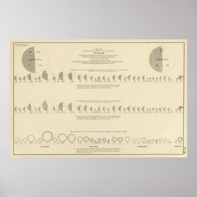 Insane, Statistical US Lithograph 1870 Poster (Front)
