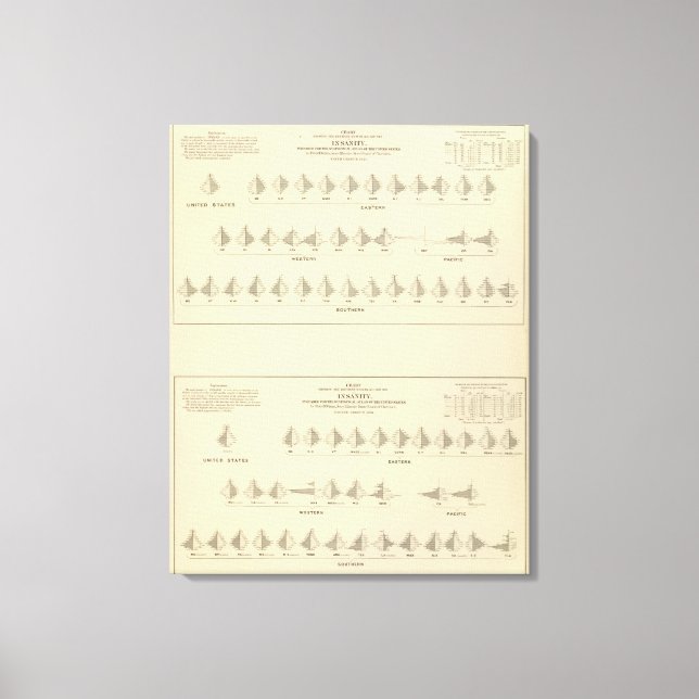 Insanity, Statistical US Lithograph Canvas Print (Front)