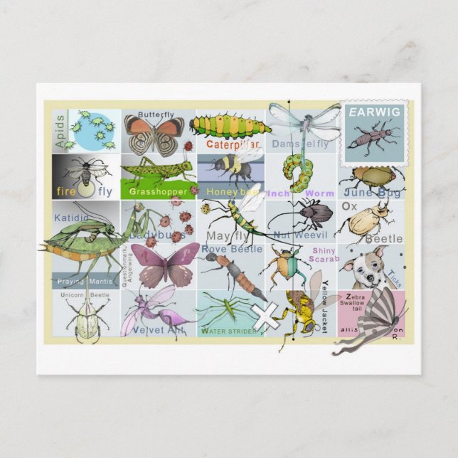 Insect Alphabet Postcard (Front)