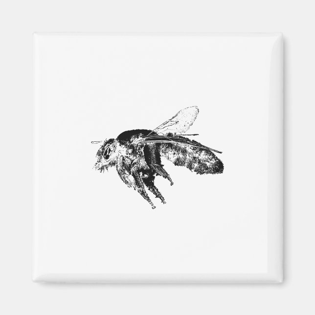 Insect bee Black Magnet (Front)