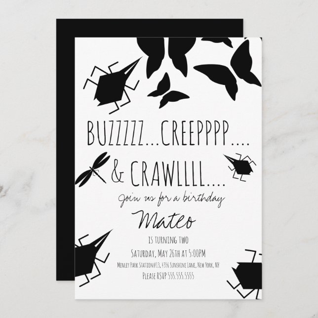 Insect Bug Butterfly Dragonfly Birthday Party  Invitation (Front/Back)