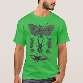 Insect Bug Collection Shirt Moth Stag Beetle Cicad