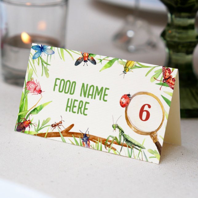 Insect Bugs Birthday Place Card (Creator Uploaded)