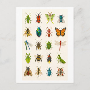 Insect Collage Illustration Postcard