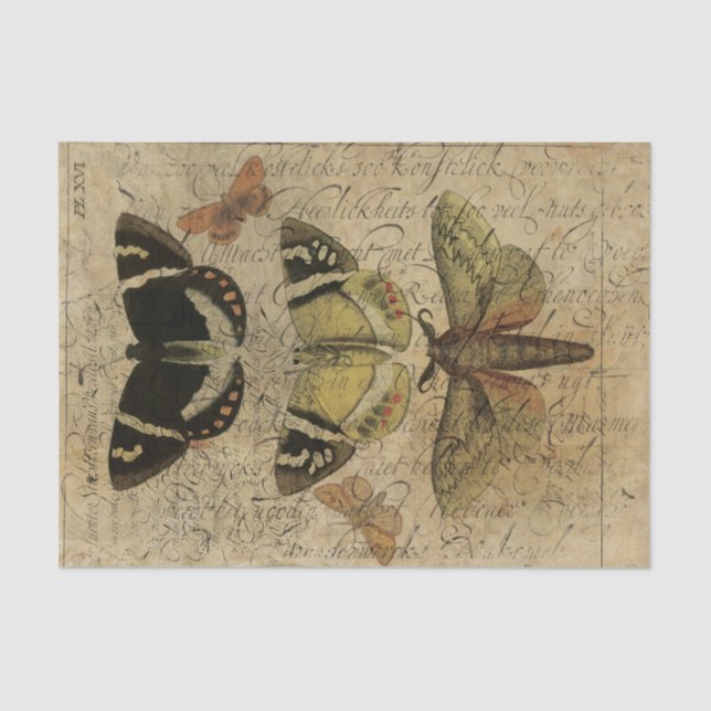 Insect Collage No.501 Tissue Paper (Front)