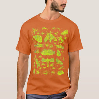 insect Collection Bugs Entomologists boys and girl T-Shirt