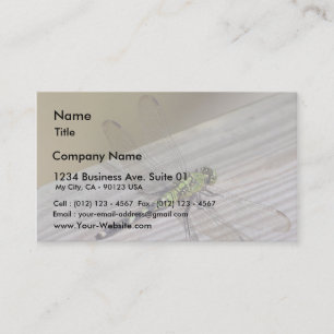 Insect Dragonfly Business Card