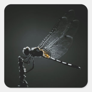 Insect - Dragonfly Wings Square Sticker