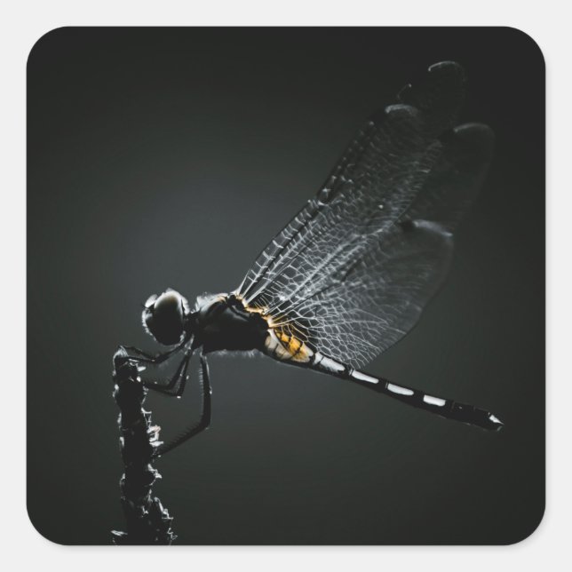 Insect - Dragonfly Wings Square Sticker (Front)