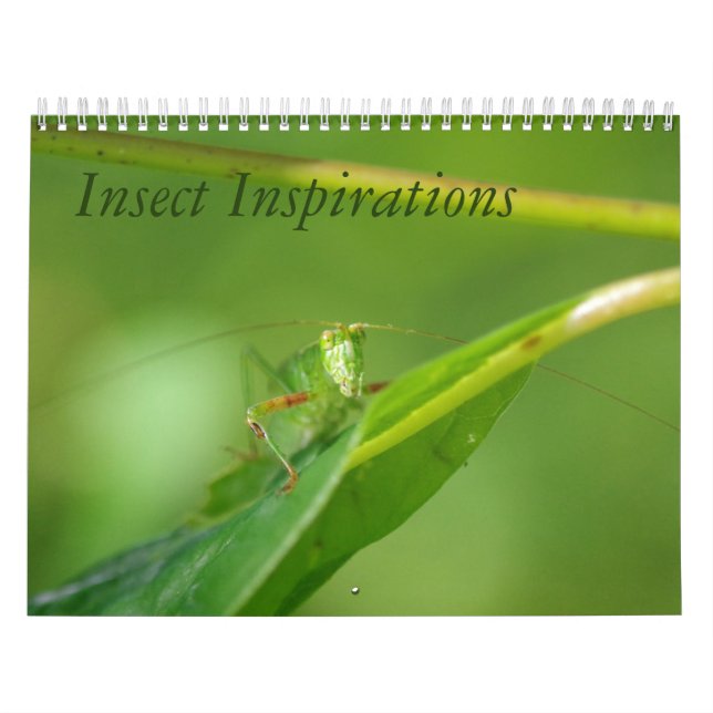 Insect Inspirations Calendar (Cover)