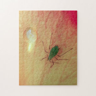 Insect Jigsaw Puzzle