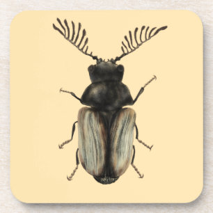 Insect Lover Art: Cool Beetle Coaster