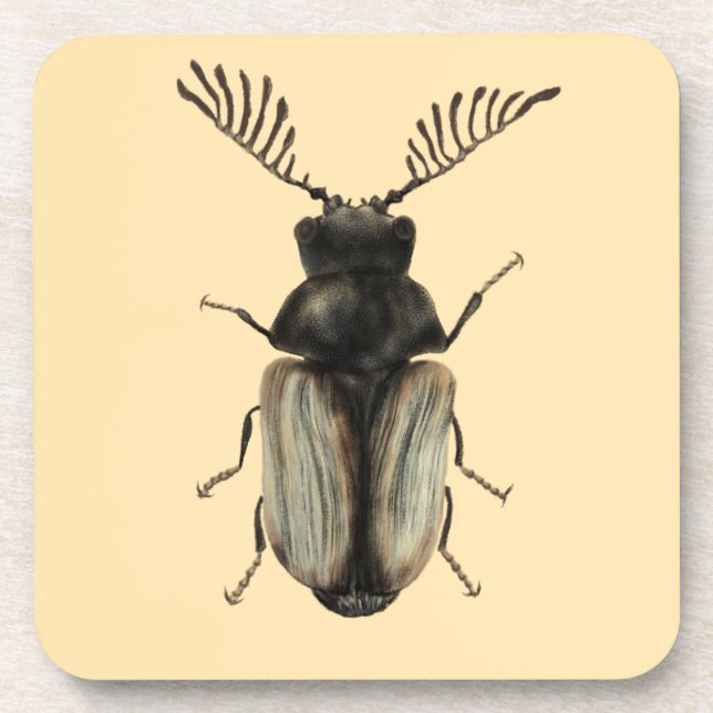 Insect Lover Art: Cool Beetle Coaster (Front)