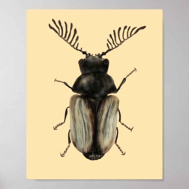 Insect Lover Beetle Art Poster (Front)