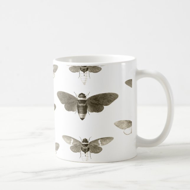 Insect Lover Mug - Vintage Cicada Illustration (Right)