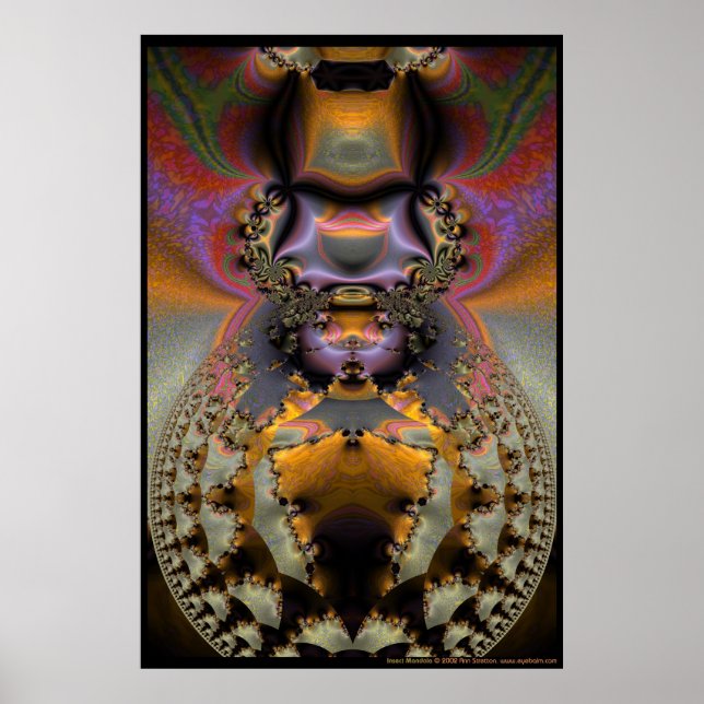 Insect Mandala Poster (Front)